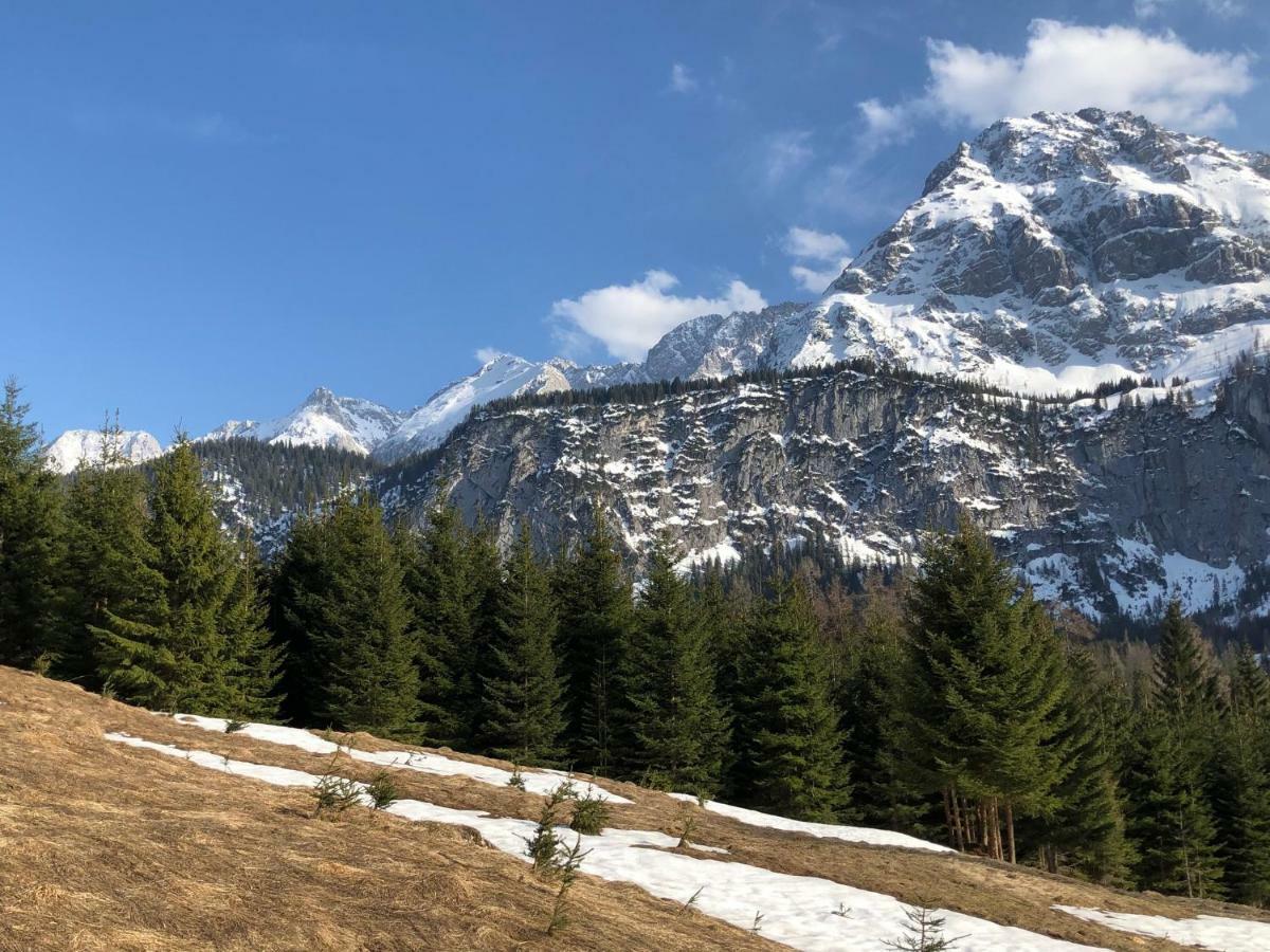 Das Halali - Dein Kleines Hotel An Der Zugspitze Ehrwald Dış mekan fotoğraf